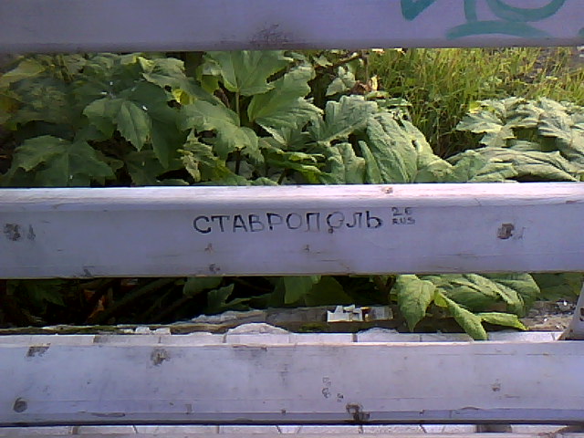 IMG00100.jpg