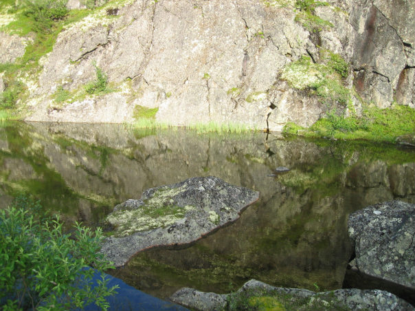 IMG00178-2009.jpg