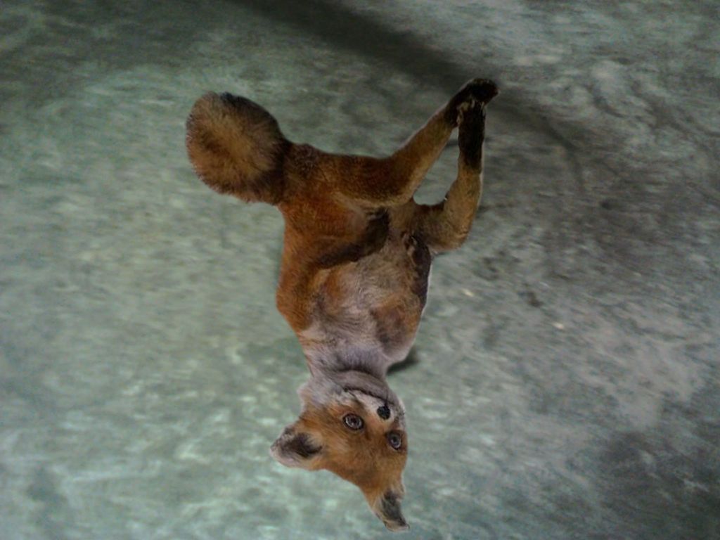 img089_395.jpg