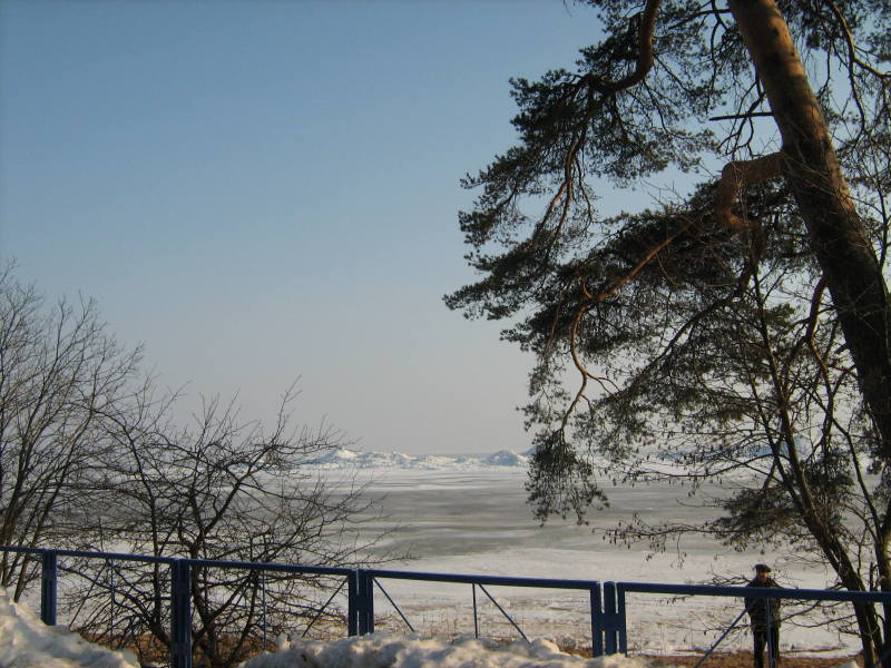 IMG_0245.png
