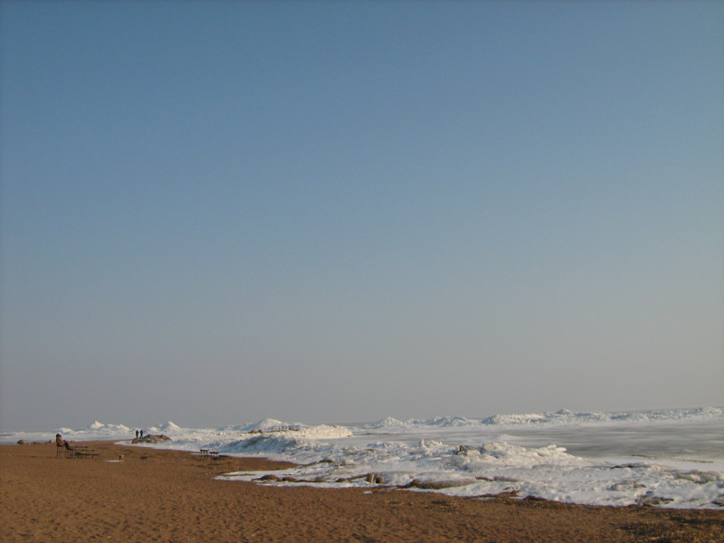 IMG_0247.png