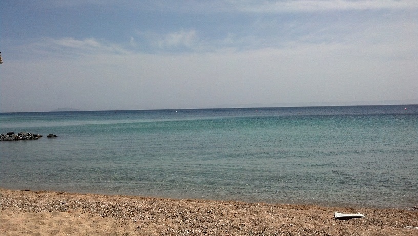 IMG_20130522_150004_104.jpg