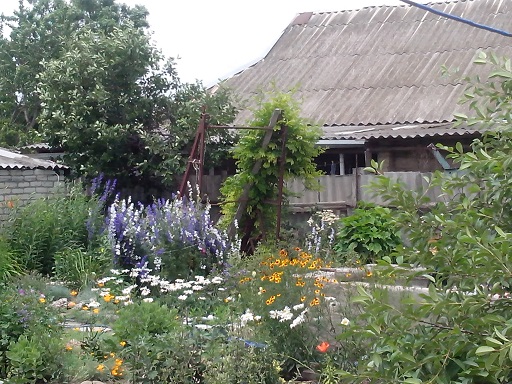 IMG_20130612_134558.jpg