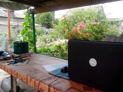 IMG_20130612_134616.jpg