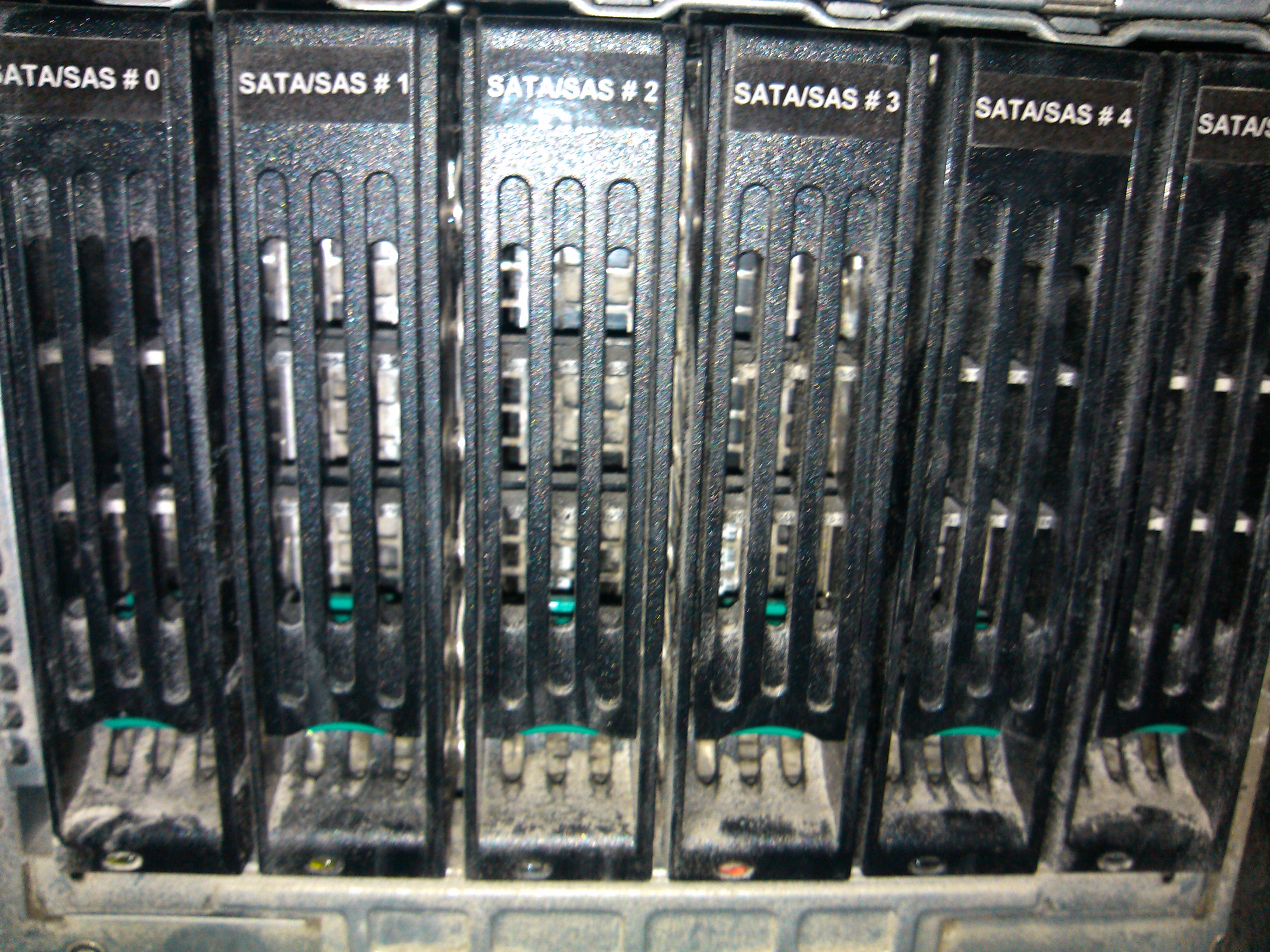 IMG_20130615_151409.jpg