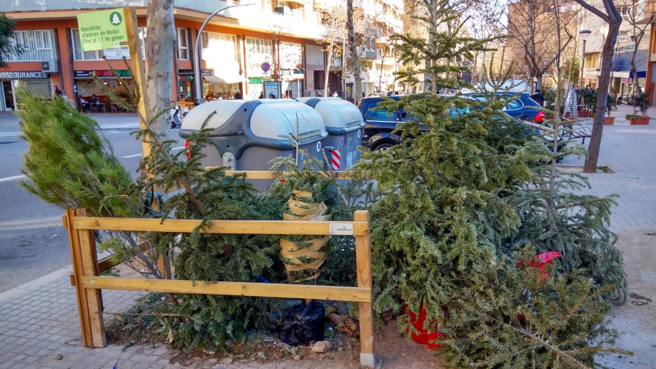 IMG_20150112_140202_HDR.jpg