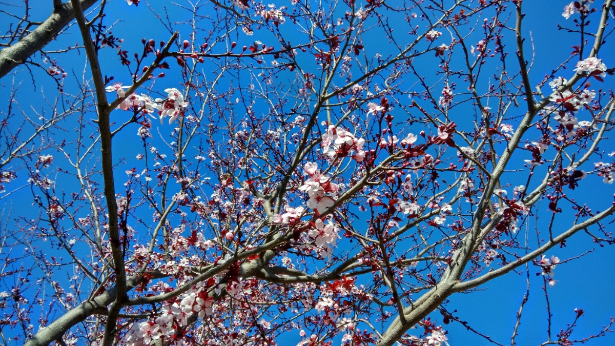 IMG_20160221_231417.jpg