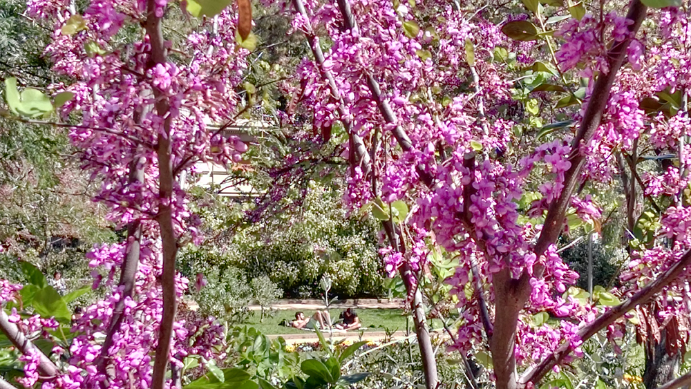 IMG_20170408_142031.jpg