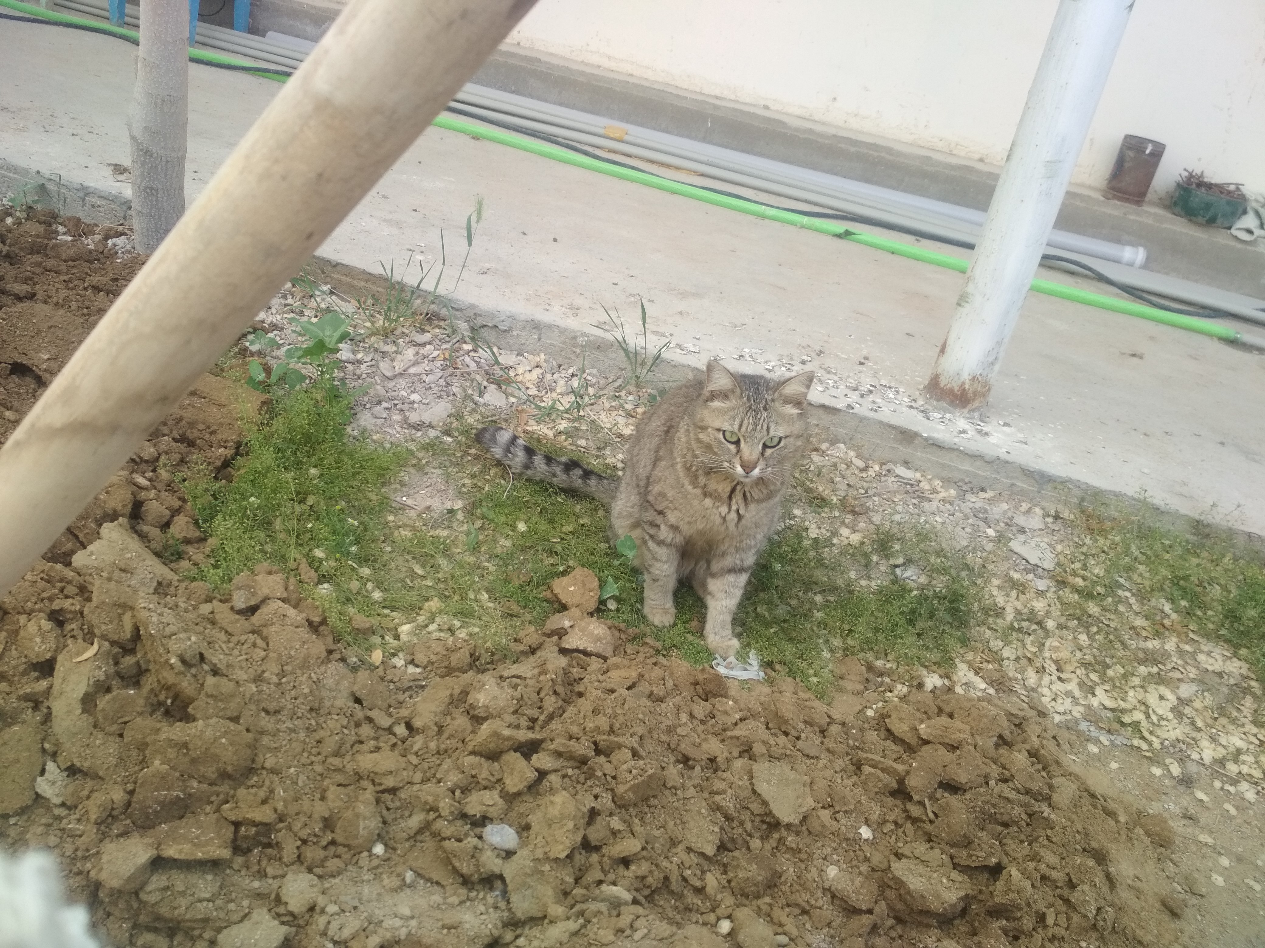 IMG_20190516_165514.jpg