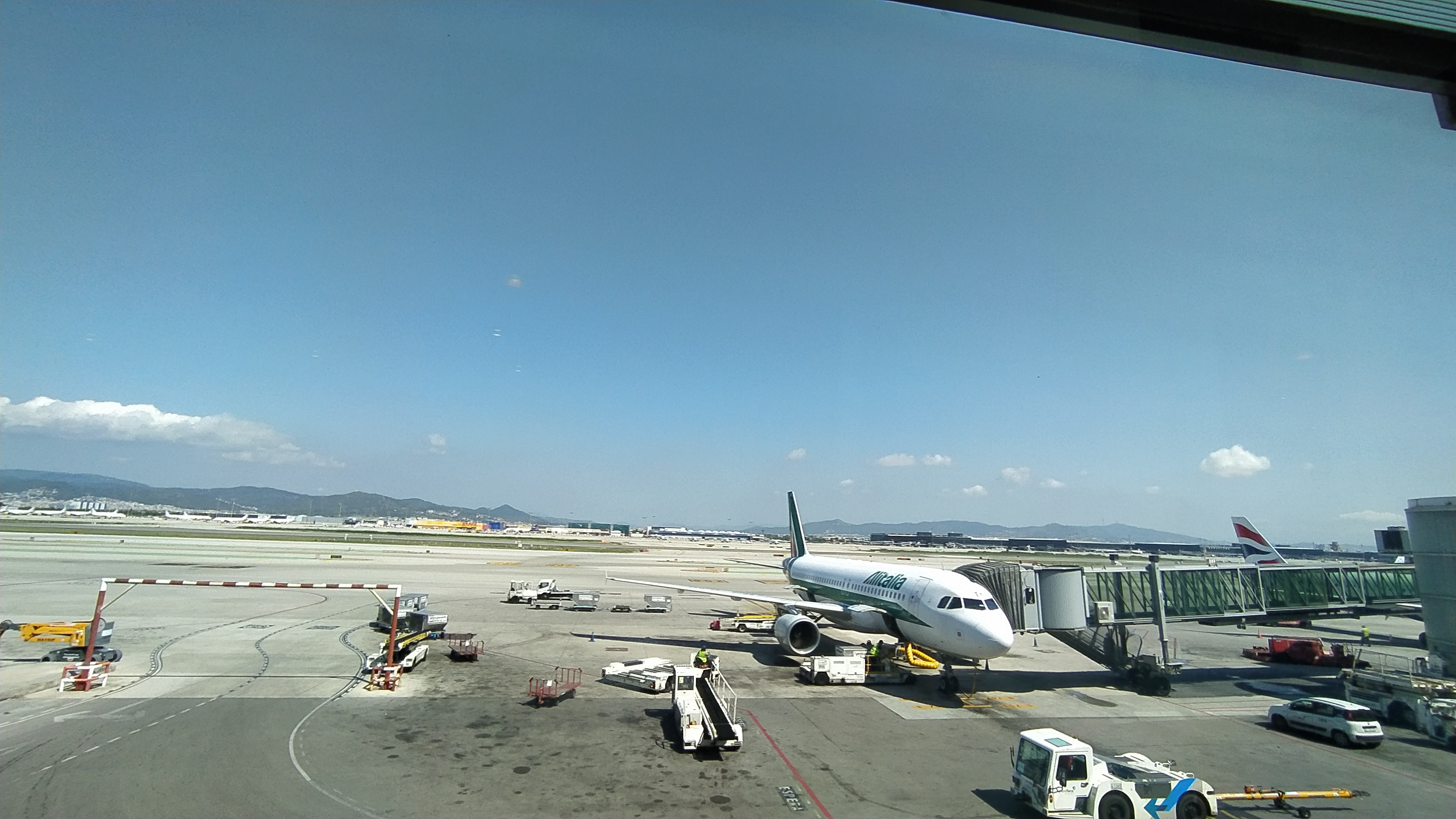 IMG_20200726_113206.jpg