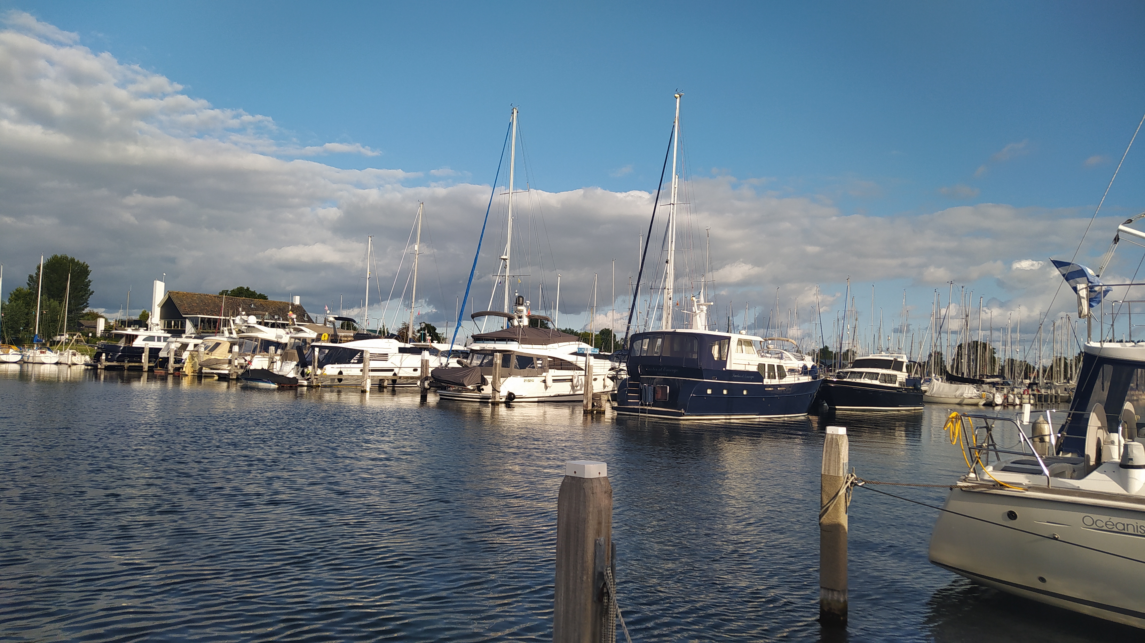 IMG_20200728_083300.jpg