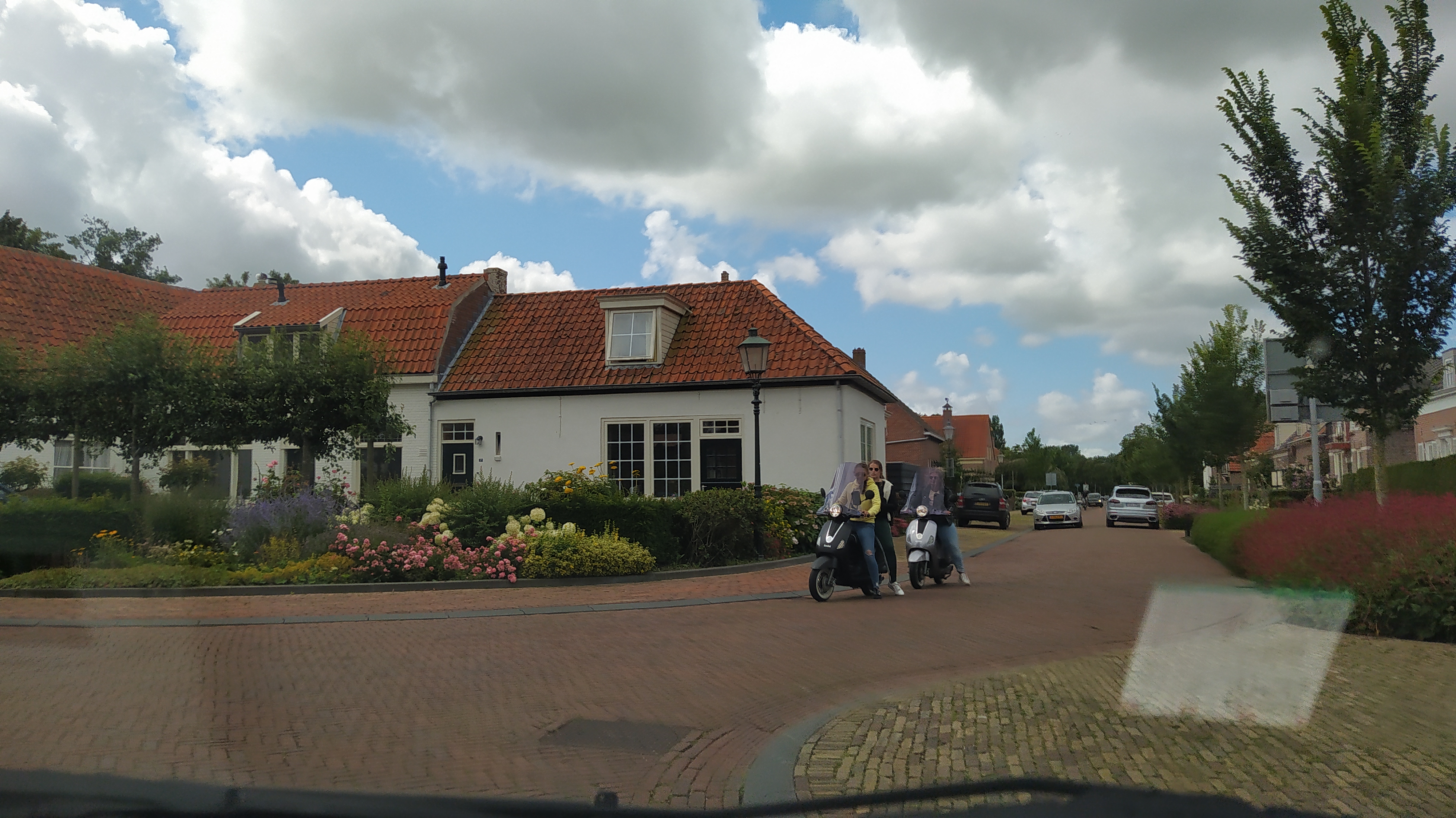 IMG_20200728_115618.jpg