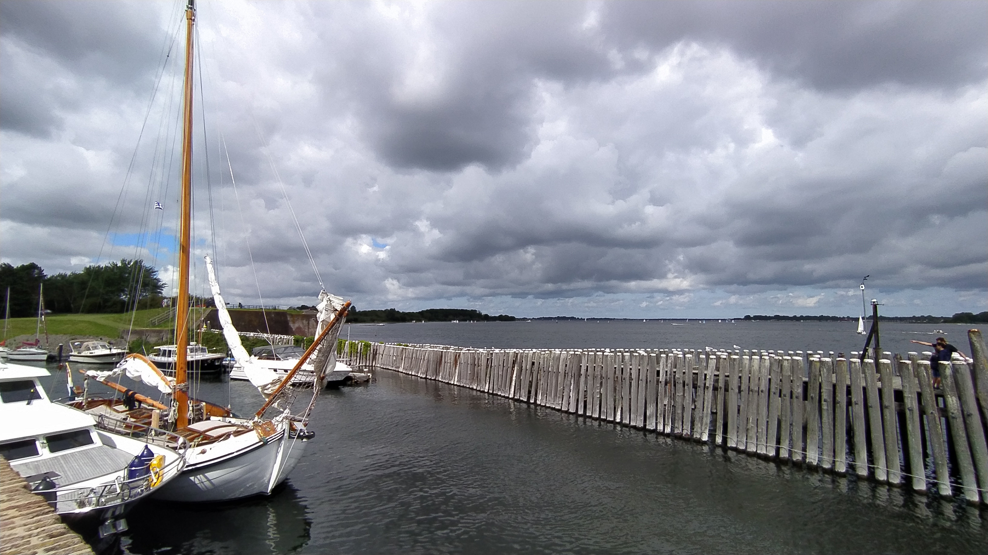 IMG_20200728_120806.jpg