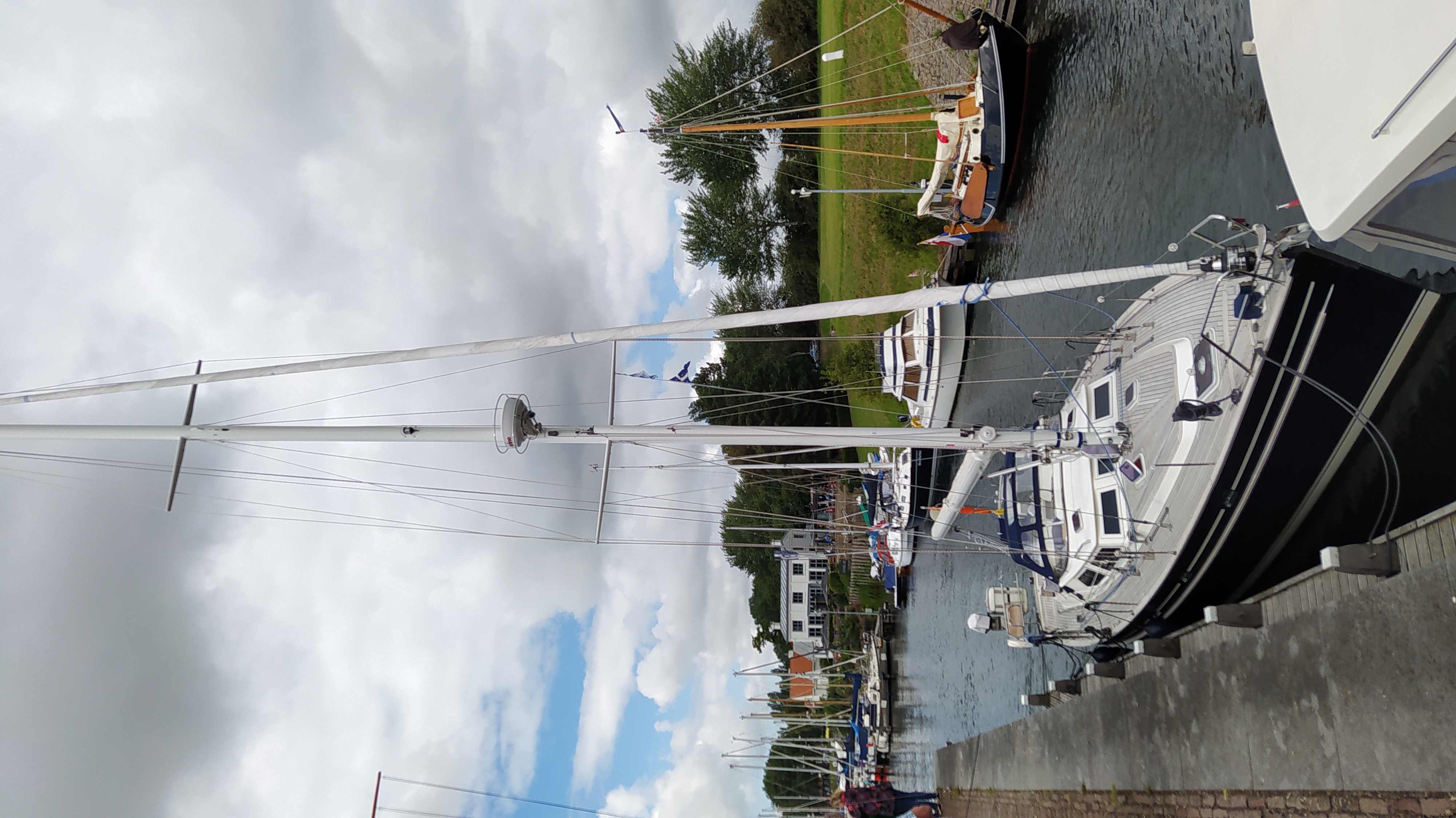 IMG_20200728_120949.jpg