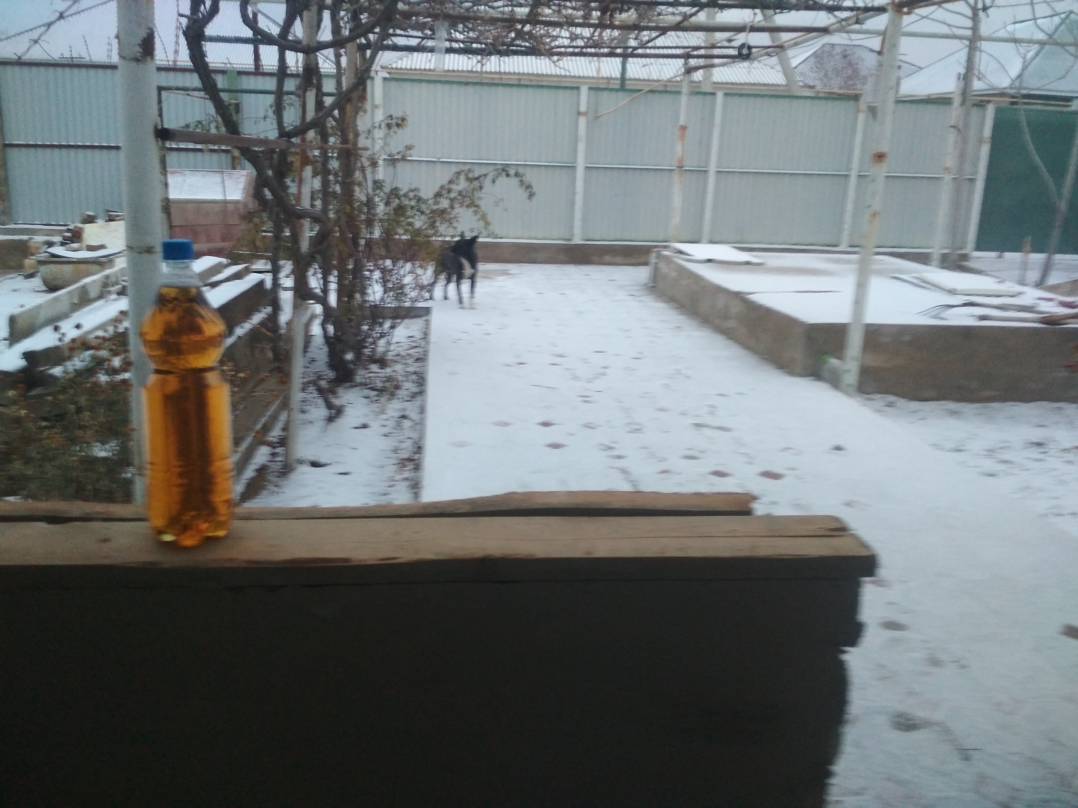 IMG_20201201_085924.jpg