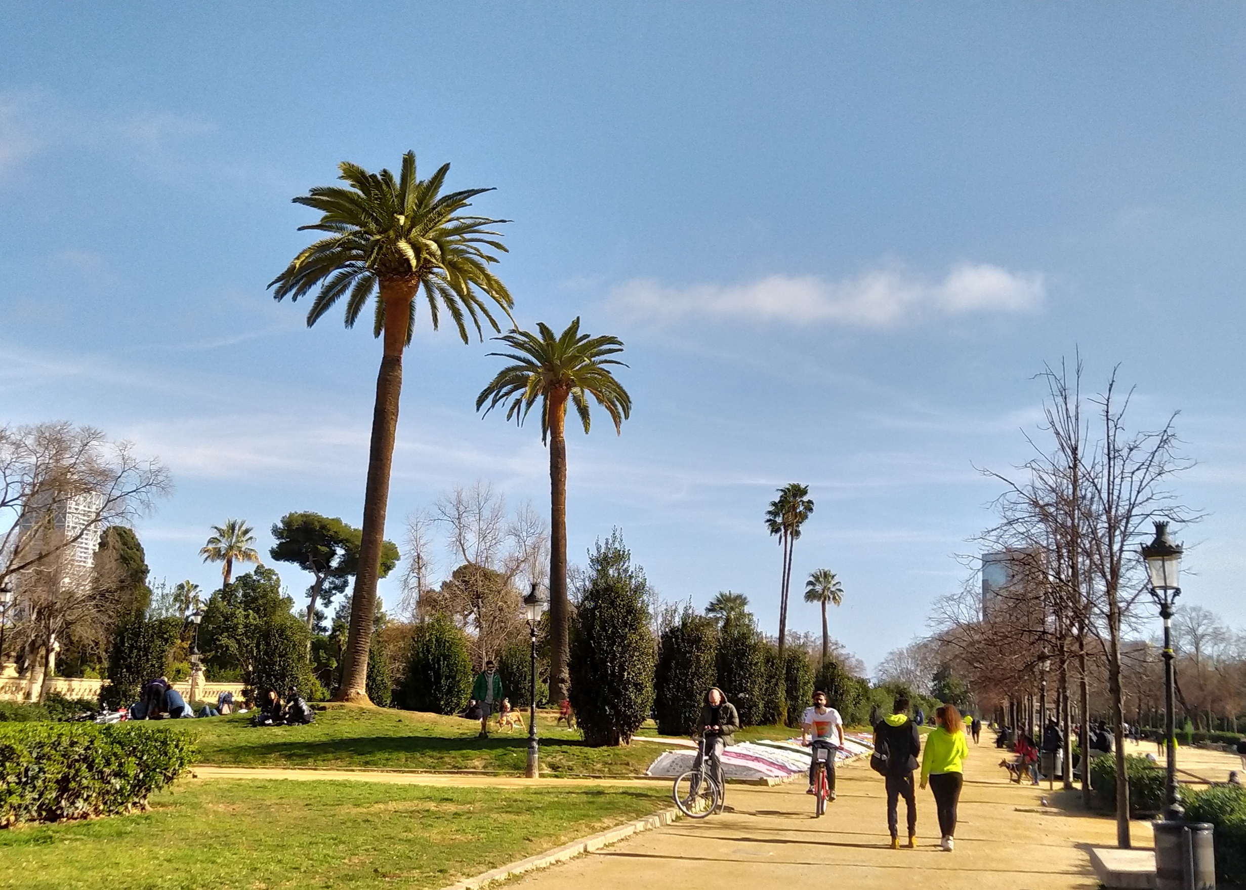 IMG_20210213_145139.jpg