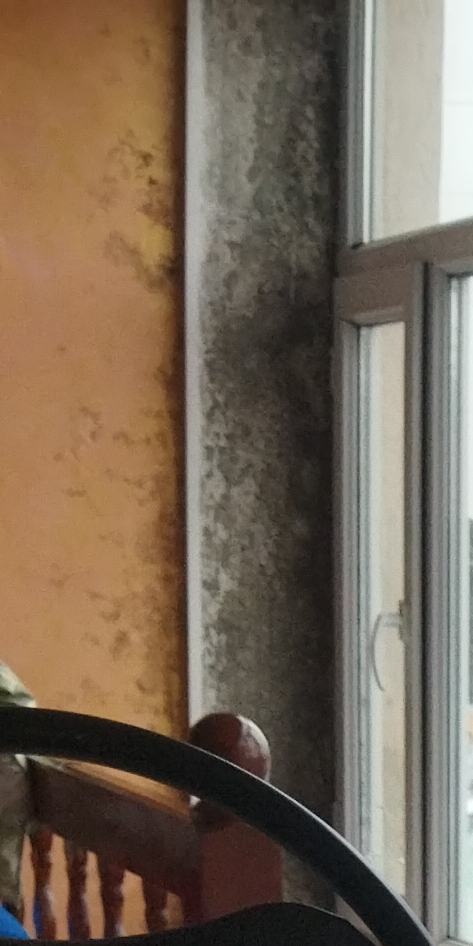 img_20220326_102840_213 14.30.00.jpeg