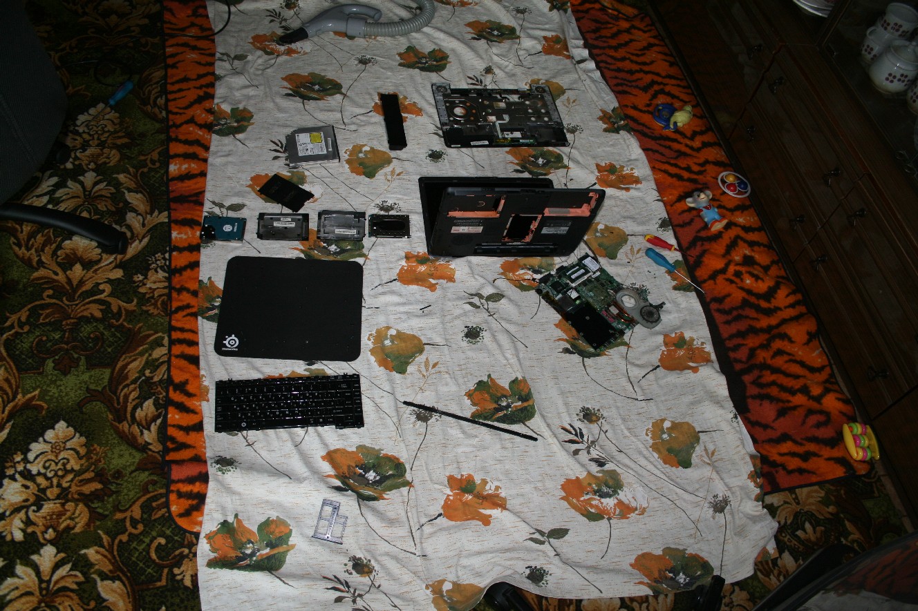 IMG_3506_1.JPG