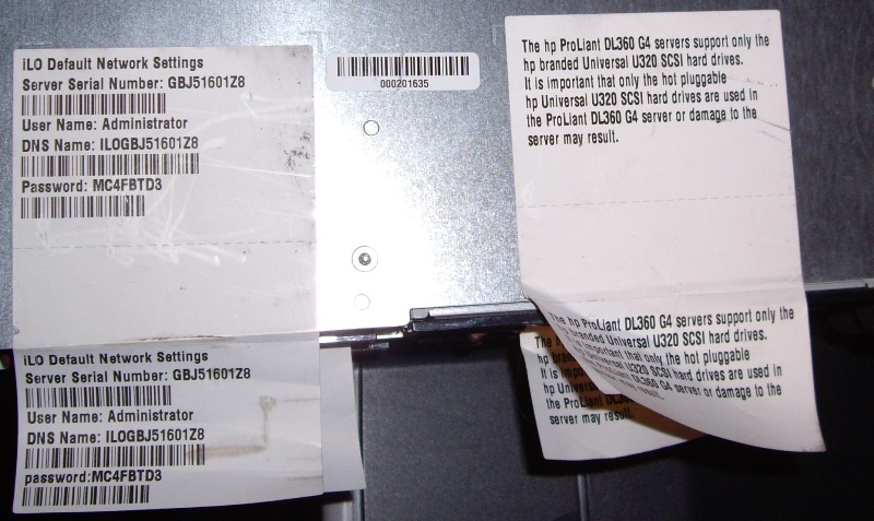 IMGP6252.JPG