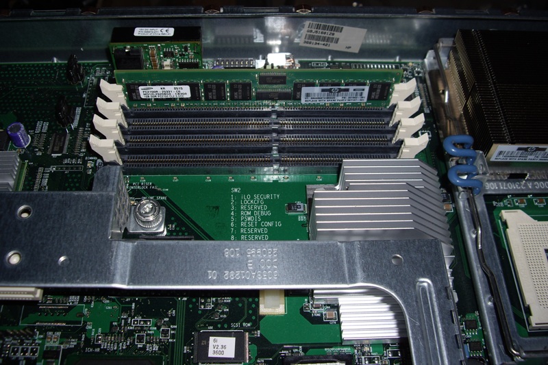 IMGP6254.JPG