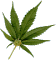 joint_180.gif