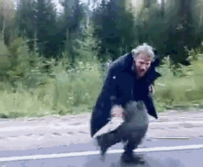 K4SVGWOZ.gif