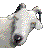 k.gif