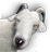 k.png