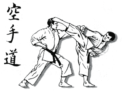 karate2007.gif