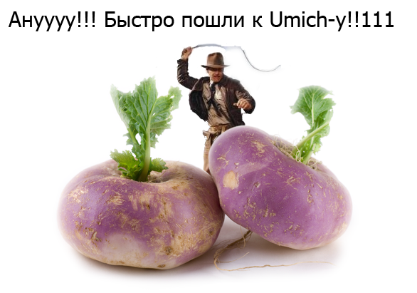 korneplod.png