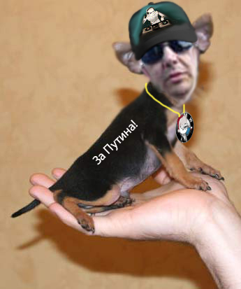 kracha.jpg