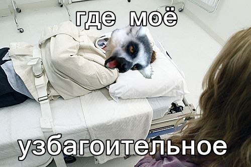m1xByVLcD2c.jpg