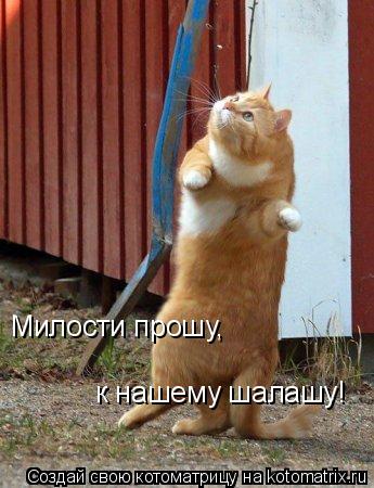M.jpg