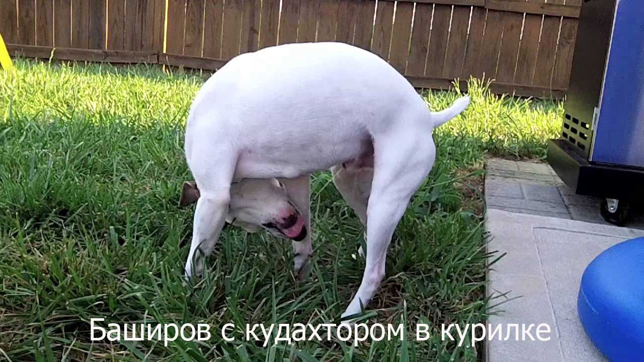 maxresdefault.jpg