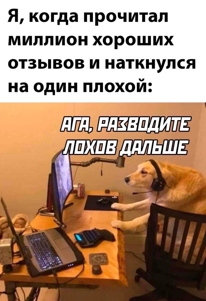 MFadUrjvx4A.jpg