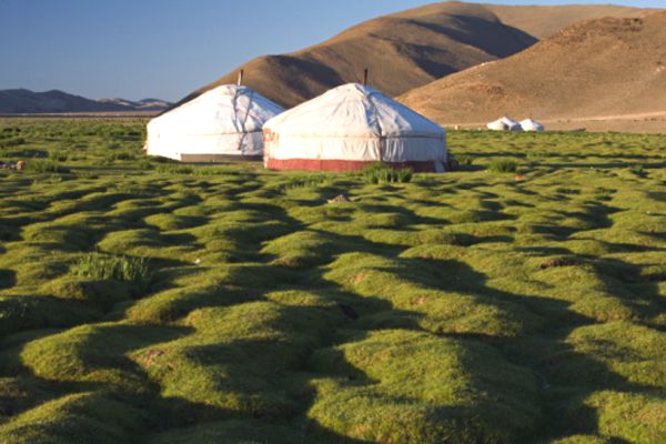 mongolie-06.jpg