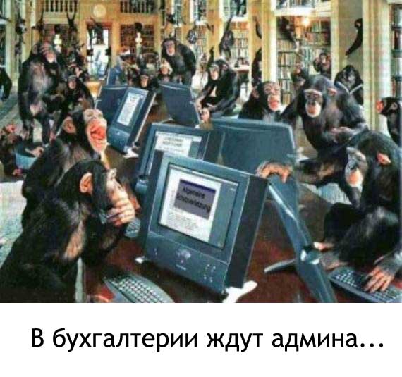 monkeys.jpg
