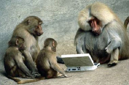 monkeys.jpg
