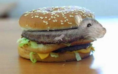 mouse.jpg