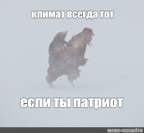 mudozvonpatriot.jpg