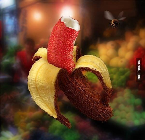multi_froot.jpg