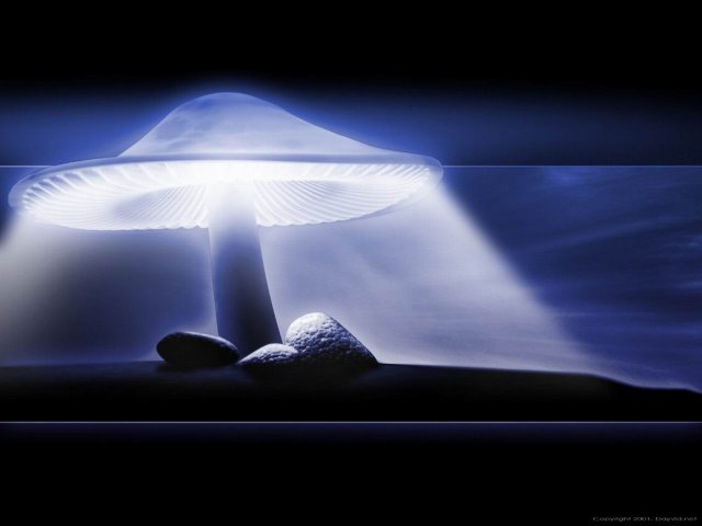 mushroom_nuke2.jpg