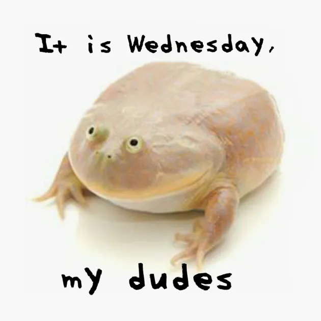 my-dudes-01.y4zkxlmgegny..png