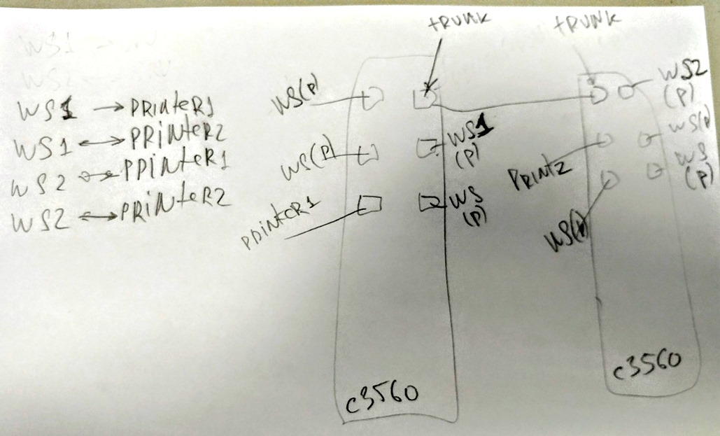 network1.jpg