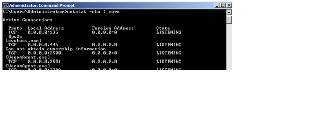 network2.jpg