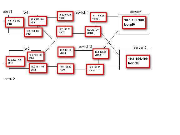 network.JPG