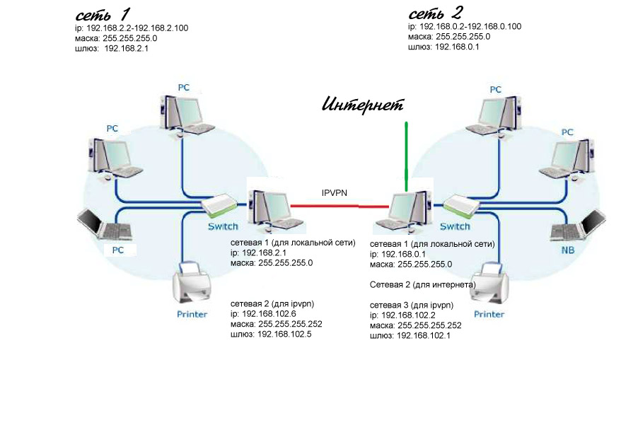 Network.jpg