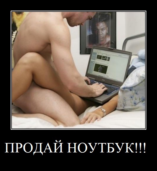 nout.jpg