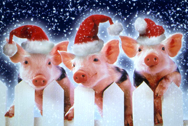 novogodnie-kartinki-so-svinjej-2019-svino-santa.jpg