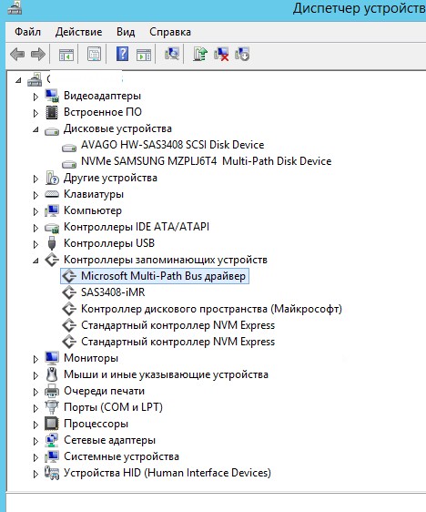 NVME_MPIO_1.JPG